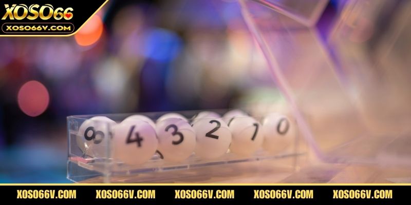 Mẹo chọn số khi chơi xổ số Max 4D hiệu quả nhất cho người mới